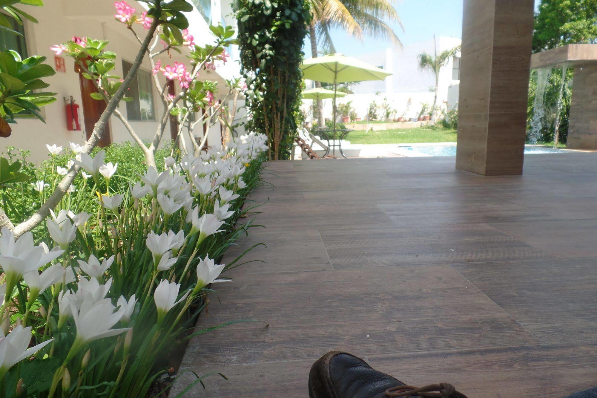 Hotel Villa Escondida Campeche Extérieur photo
