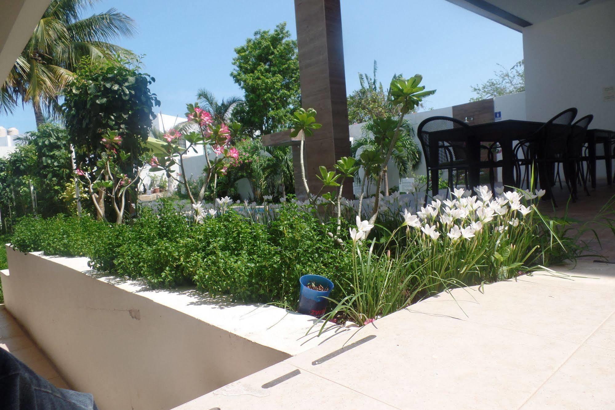 Hotel Villa Escondida Campeche Extérieur photo